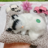 Thú bông than hoạt tính size mini 15x17cm