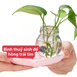 Bình thủy sinh kèm đế mix tượng