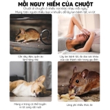 Sáp đuổi chuột 200gram