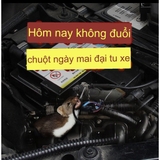 Sáp đuổi chuột 200gram