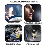 Dung Dịch Xịt Làm Sạch Và Khử Mùi Không Khí Cho Xe Ô Tô, Mùi Hương Tự Nhiên Fantastic Xml 180ml