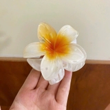 Phụ Kiện Kẹp Tóc Hoa Sứ Lưng Đầu Tóc Móng Vuốt Kẹp Phong Cách Hawaii - Size To