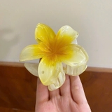 Phụ Kiện Kẹp Tóc Hoa Sứ Lưng Đầu Tóc Móng Vuốt Kẹp Phong Cách Hawaii - Size To