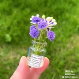 Chậu cây xanh trang trí taplo