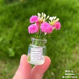 Chậu cây xanh trang trí taplo