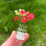 Chậu cây xanh trang trí taplo