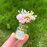 Chậu cây xanh trang trí taplo