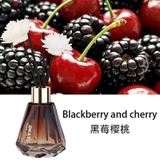 Nước hoa tinh dầu thơm phòng kèm hoa khuếch tán 60ml - lọ thuỷ tinh cắm que OKATI