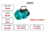 Máy bơm li tâm Rymaru RY-DK750