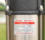 Máy bơm chìm 2.2Kw ống 100 Penori PN100-2.2