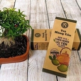 Trà Mãng Cầu Nguyễn Văn ( Hộp Giấy 100g )