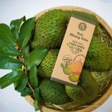 Trà Mãng Cầu Nguyễn Văn ( Hộp Giấy 100g )