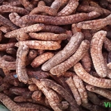Chuối hột rừng ( Gói 1kg )