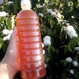 Mật ong hoa cà phê ( Chai 1L )