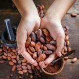 CaCao Nguyên Chất ( Túi Zip 500g )