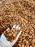 Lõi Hạnh Nhân Nguyên Hạt ( Hộp 500g )