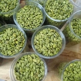 HẠT BÍ XANH NGUYÊN CHẤT ( Hộp 500g )