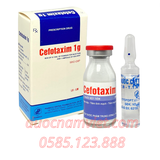 Thuốc tiêm Cefotaxim 1g (có nước cất) (Cọc 10) TW1