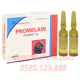 Thuốc tiêm Promelain (Piracetam 1g) Ấn Độ