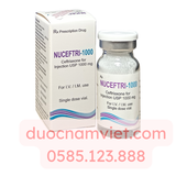 Kháng sinh tiêm Nuceftri 1000mg