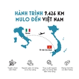 Gu Nhẹ DOLCE FAR NIENTE 220g