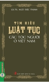 Sách Tìm Hiểu Luật Tục Các Tộc Người Ở Việt Nam - Ngô Đức Thịnh