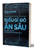 Sách Điều Gì Đó Ẩn Sâu - Thế Giới Lượng Tử Và Không-Thời Gian Đột Sinh - Sean Carroll