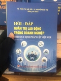 Hỏi - đáp: Quản trị lao động trong doanh nghiệp theo quy định pháp luật Việt Nam