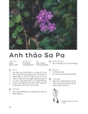 Sách Các Loài Cây Việt Nam (Bìa Cứng) - Võ Văn Chi