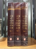 Bộ Sách Lịch Sử Phật Giáo Việt Nam - (Bộ 3 Tập - Bìa cứng) của tác giả Lê Mạnh Thát