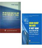 Combo (2 cuốn Sách) Cải cách doanh nghiệp nhà nước Việt Nam - Đổi mới doanh nghiệp nhà nước và phát triển kinh tế tư nhân trong giai đoạn hiện nay của nhiều tác giả