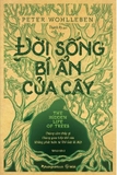 Sách Đời Sống Bí Ẩn Của Cây - Peter Wohlleben