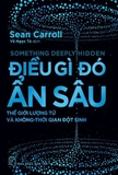 Sách Điều Gì Đó Ẩn Sâu - Thế Giới Lượng Tử Và Không-Thời Gian Đột Sinh - Sean Carroll