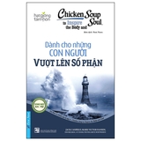 Combo (5 Cuốn Sách) Chicken Soup For The Grieving Soul - Hạt Giống Tâm Hồn (Song Ngữ Anh - Việt) - Nhiều tác giả
