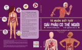 Tớ Muốn Biết Tuốt - Giải Phẫu Cơ Thể Người