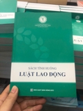 Sách tình huống luật lao động - Trường Đại Học Luật Thành Phố Hồ Chí Minh 