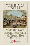 sách Nước Đại Nam Đối Diện Với Pháp Và Trung Hoa (1847-1885) - Yoshiharu Tsuboi
