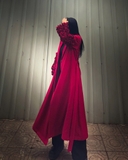 AK dài tay bèo dọc