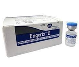 Vắc xin ENGERIX B (Bỉ) phòng bệnh viêm gan B