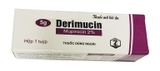 Derimucin 0.1g (tuýp 5g)