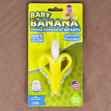 Gặm nướu Chuối cao cấp Mỹ