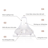 Núm ti Moyuum Hàn Quốc (số 1-2-3-4) - Chính hãng