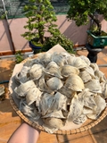yến thô