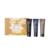 BỘ 3 KEM TAY HẠNH NHÂN & XẠ HƯƠNG, SẢ & OẢI HƯƠNG, CHANH KAFFIR & BẠC HÀ - TRIO HAND CREAM SET - WOODY EDITION GB02810