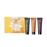 SET KEM DƯỠNG TAY QUẢ YUZU & CỎ HƯƠNG BÀI, QUẢ BÁCH XÙ & GỖ TUYẾT TÙNG, TRÀ ĐEN & LÁ XÔ THƠM - TRIO HAND CREAM SET - REFRESH EDITION GB02811