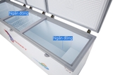 Tủ đông Sanaky Inverter 900 lít VH-1199HY3