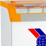 Tủ đông Sanaky 280 lít VH-3899KB