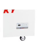Tủ đông Sanaky 750 lít VH-1008KA
