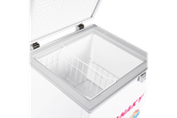 Tủ đông Sanaky 100 lít VH-1599HYK