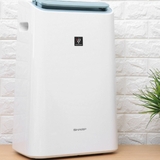 Máy lọc không khí và hút ẩm Sharp DW-E16FA-W (38m²/16lít)